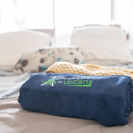 Waikiki-garage-terrasse-fibre-ensoleillé-calme-à 10min Du Centre Ville-clermont-ferrand *